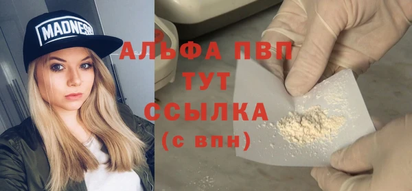 хмурый Алексин