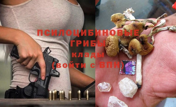 хмурый Алексин