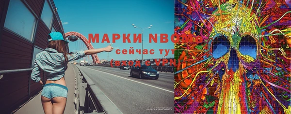 хмурый Алексин