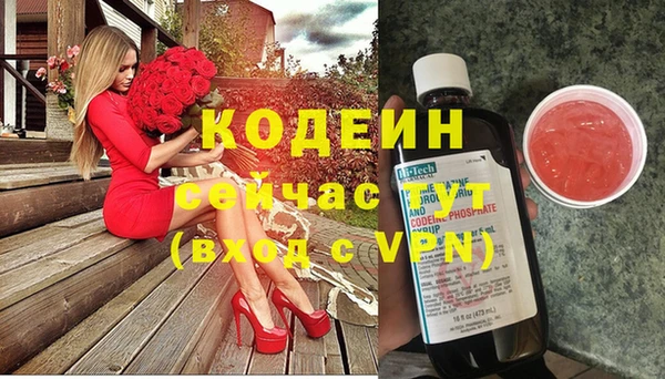 хмурый Алексин