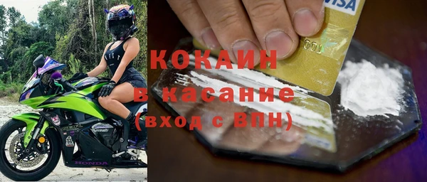 хмурый Алексин